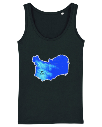 Tulcea County Map Black