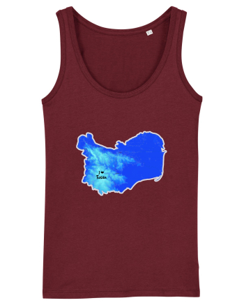 Tulcea County Map Burgundy