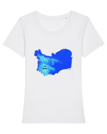 Tulcea County Map White