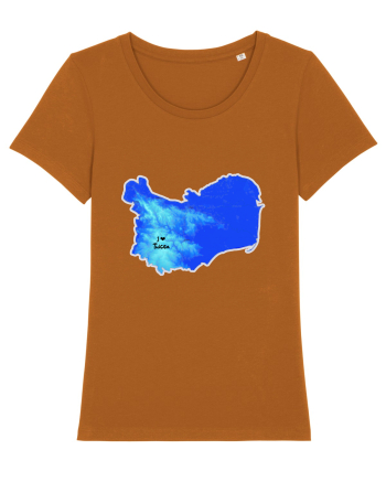 Tulcea County Map Roasted Orange