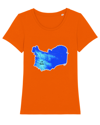 Tulcea County Map Bright Orange