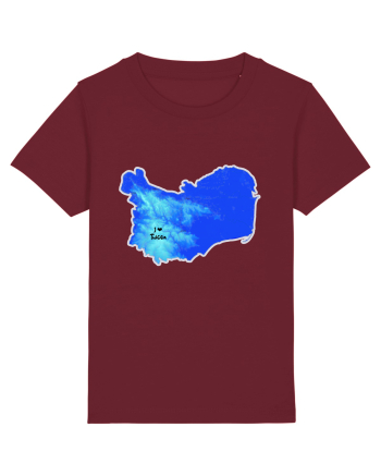 Tulcea County Map Burgundy