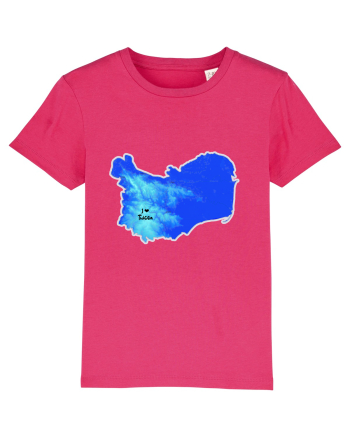Tulcea County Map Raspberry