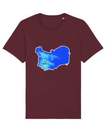 Tulcea County Map Burgundy