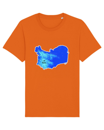 Tulcea County Map Bright Orange