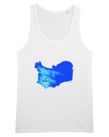 Tulcea County Map White