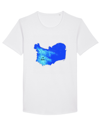 Tulcea County Map White