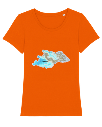 Maramureș County Map Bright Orange