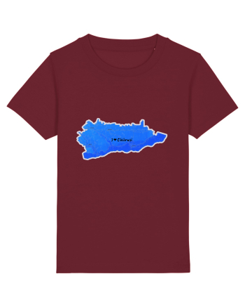 Călărași County Map Burgundy