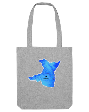 Constanța County Map Heather Grey
