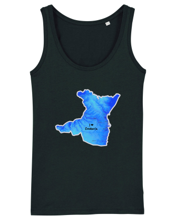 Constanța County Map Black