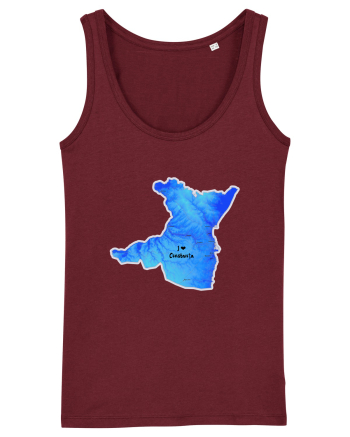 Constanța County Map Burgundy
