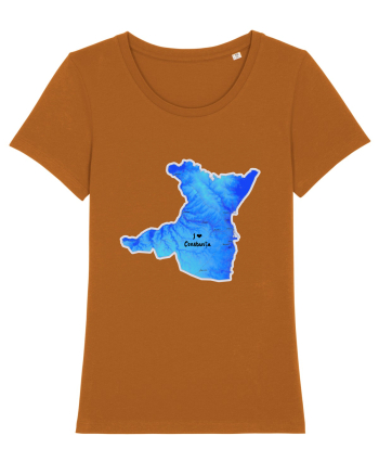 Constanța County Map Roasted Orange