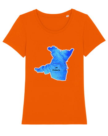 Constanța County Map Bright Orange