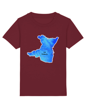 Constanța County Map Burgundy