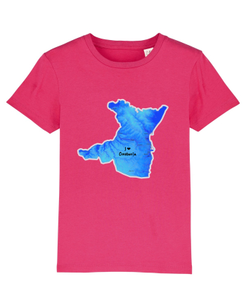 Constanța County Map Raspberry