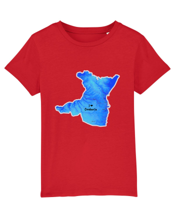 Constanța County Map Red