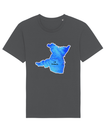 Constanța County Map Anthracite