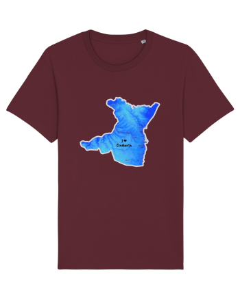 Constanța County Map Burgundy