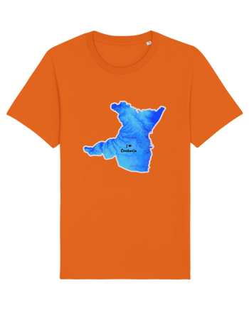 Constanța County Map Bright Orange
