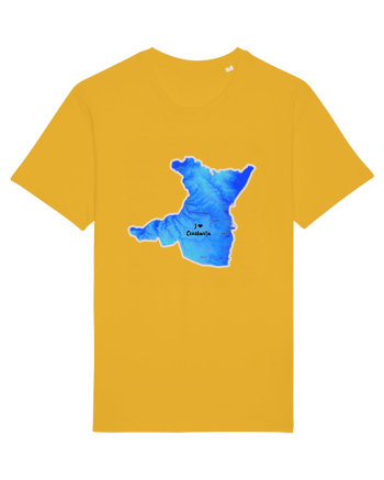 Constanța County Map Spectra Yellow