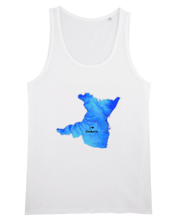 Constanța County Map White