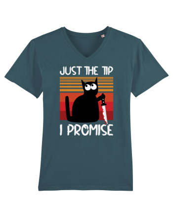 Just The Tip I Promise Halloween Cat Stargazer