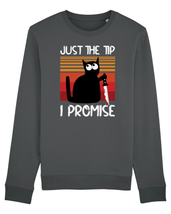 Just The Tip I Promise Halloween Cat Anthracite