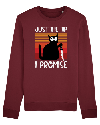 Just The Tip I Promise Halloween Cat Burgundy