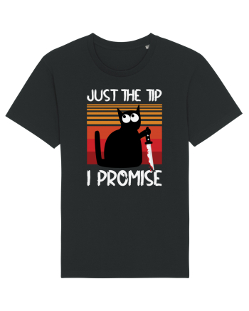 Just The Tip I Promise Halloween Cat Black