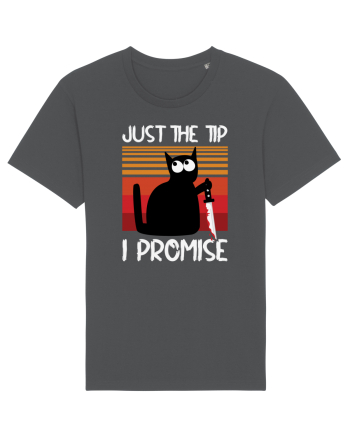 Just The Tip I Promise Halloween Cat Anthracite