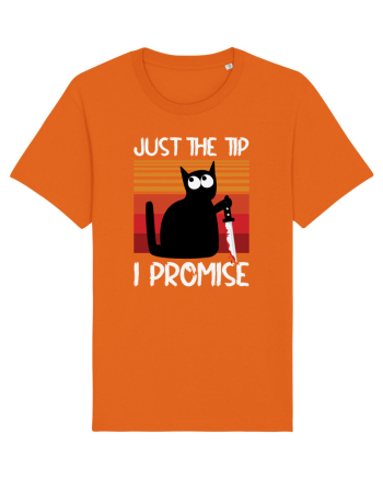 Just The Tip I Promise Halloween Cat Bright Orange