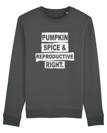 Pumpkin Spice Reproductive Rights Anthracite