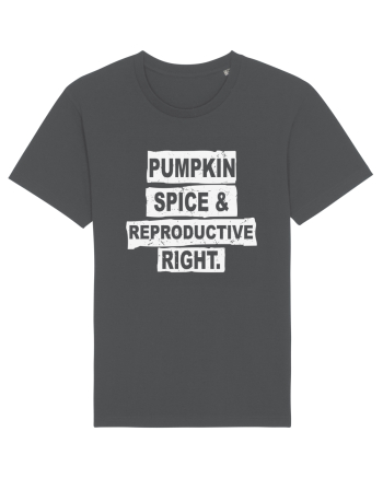 Pumpkin Spice Reproductive Rights Anthracite