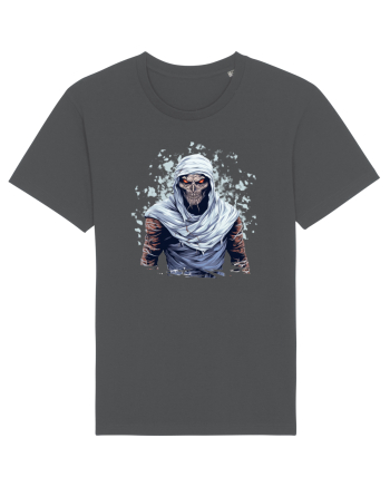 Mummy  Anthracite