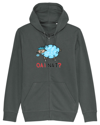 OAI nat? Anthracite