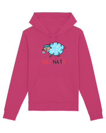 OAI nat? Raspberry