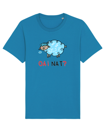 OAI nat? Azur