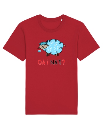 OAI nat? Red