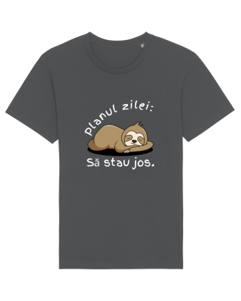 PLANUL ZILEI : SĂ STAU JOS Anthracite
