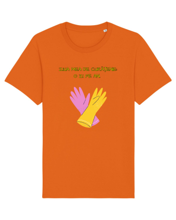 ZIUA MEA DE CURĂȚENIE: O ZI PE AN Bright Orange