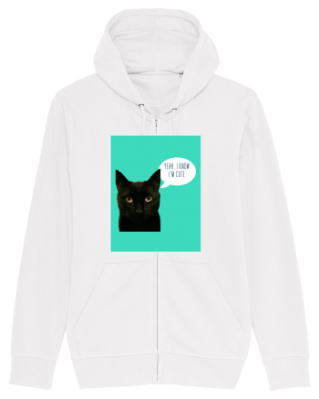 cute cat White