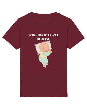 MODUL MEU DE A LUCRA DE ACASĂ Burgundy