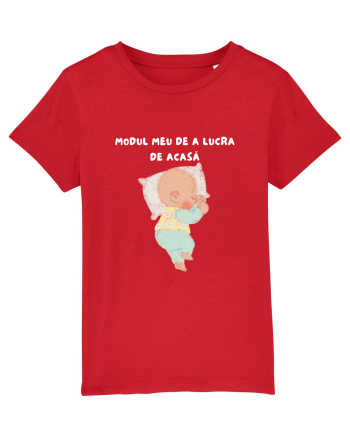 MODUL MEU DE A LUCRA DE ACASĂ Red