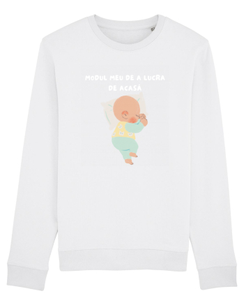 MODUL MEU DE A LUCRA DE ACASĂ White