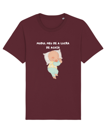 MODUL MEU DE A LUCRA DE ACASĂ Burgundy