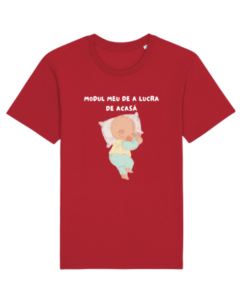 MODUL MEU DE A LUCRA DE ACASĂ Red