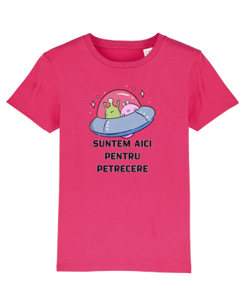 SUNTEM AICI PENTRU PETRECERE Raspberry