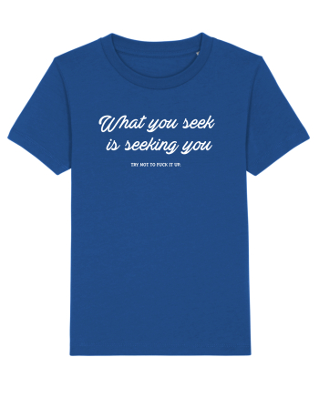 What you seek is seeking you Majorelle Blue