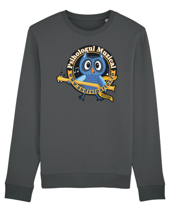 Psihologul Muzical - Logo cu Pampsy Anthracite